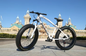 7 Speed Unisex Fat Tyre Mountain Bikes - White