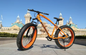 7 Speed Unisex Fat Tyre Mountain Bikes- Orange
