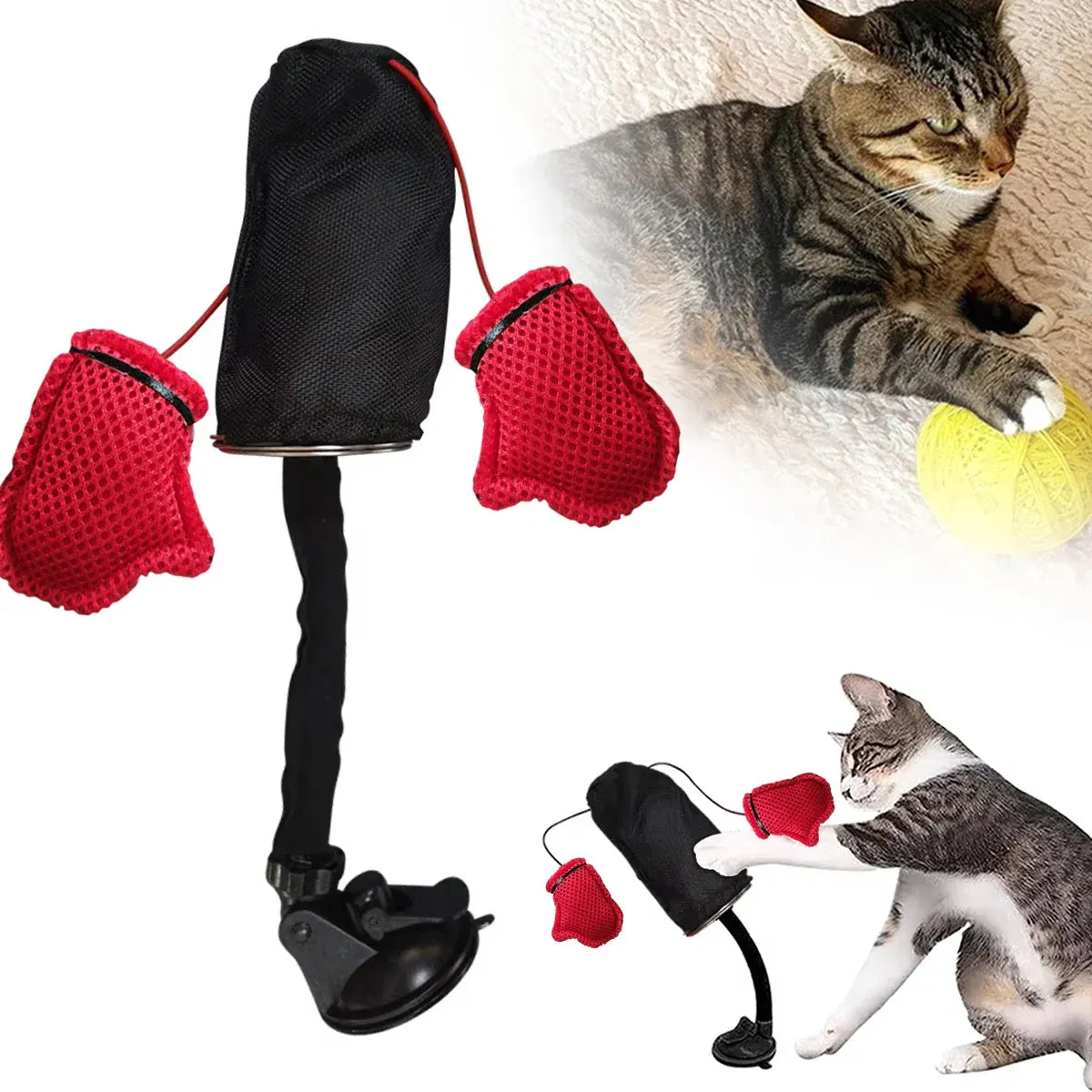 Tease Cat Toys Multi-Functional Cat Boxing Game Interactive Fun Toy for Cats