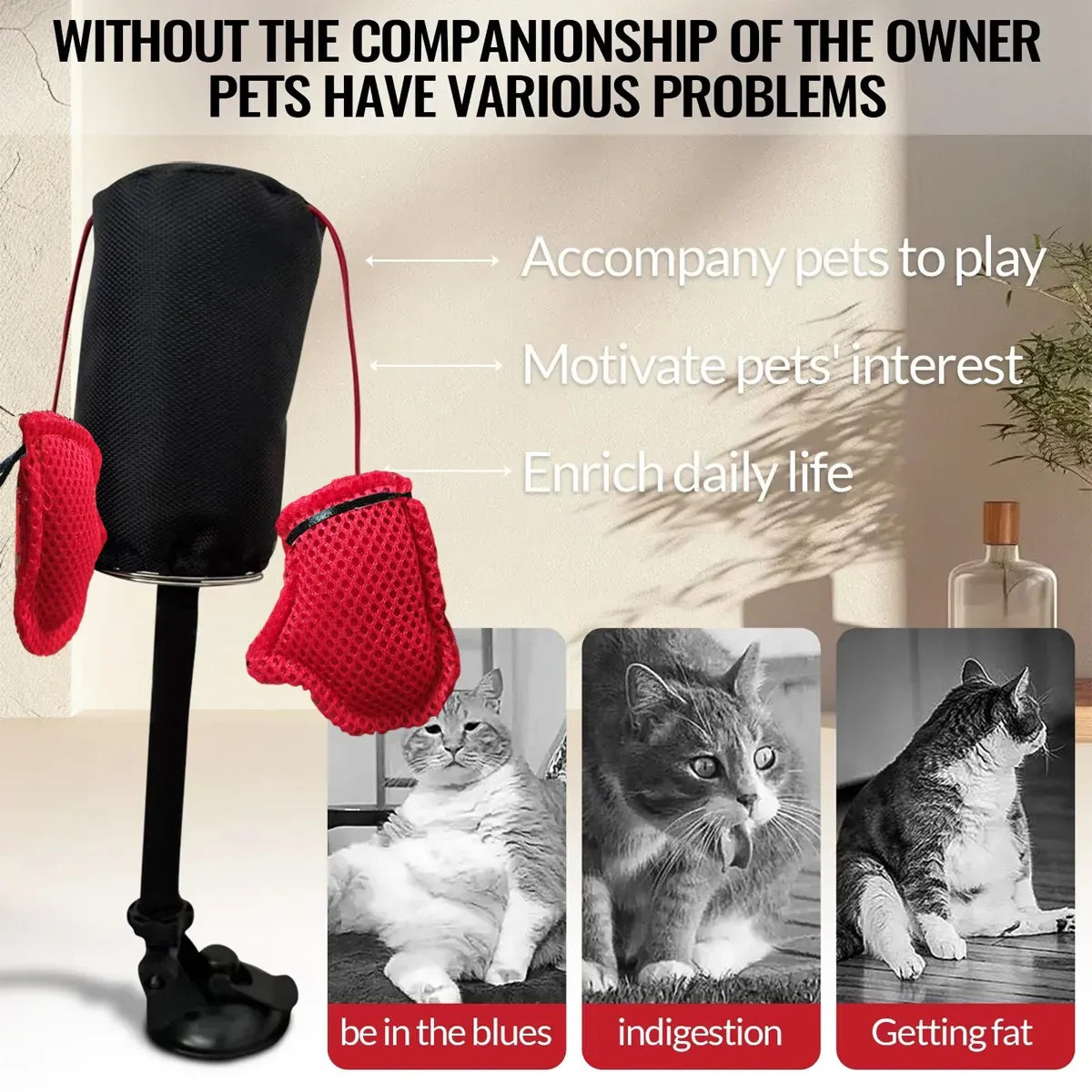 Tease Cat Toys Multi-Functional Cat Boxing Game Interactive Fun Toy for Cats