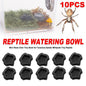 10-Piece Mini Reptile Feeding Bowl Set, Black