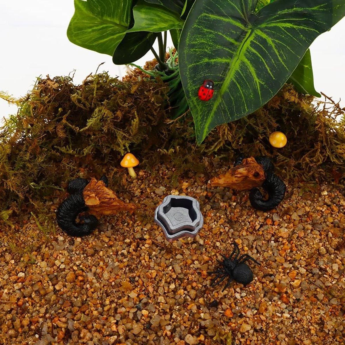 10-Piece Mini Reptile Feeding Bowl Set, Black