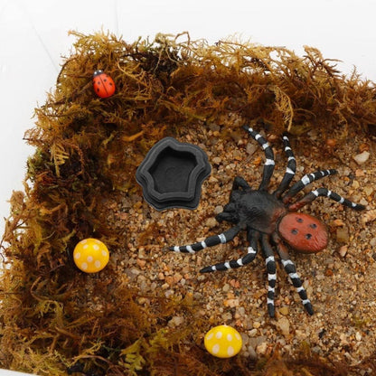 10-Piece Mini Reptile Feeding Bowl Set, Black