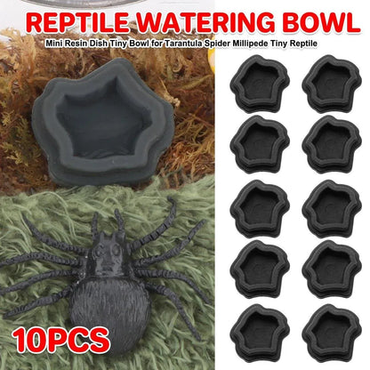 10-Piece Mini Reptile Feeding Bowl Set, Black