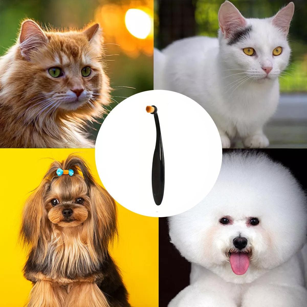 Pet Tear Stain Remover Brush for Cats and Dogs, 1 Piece