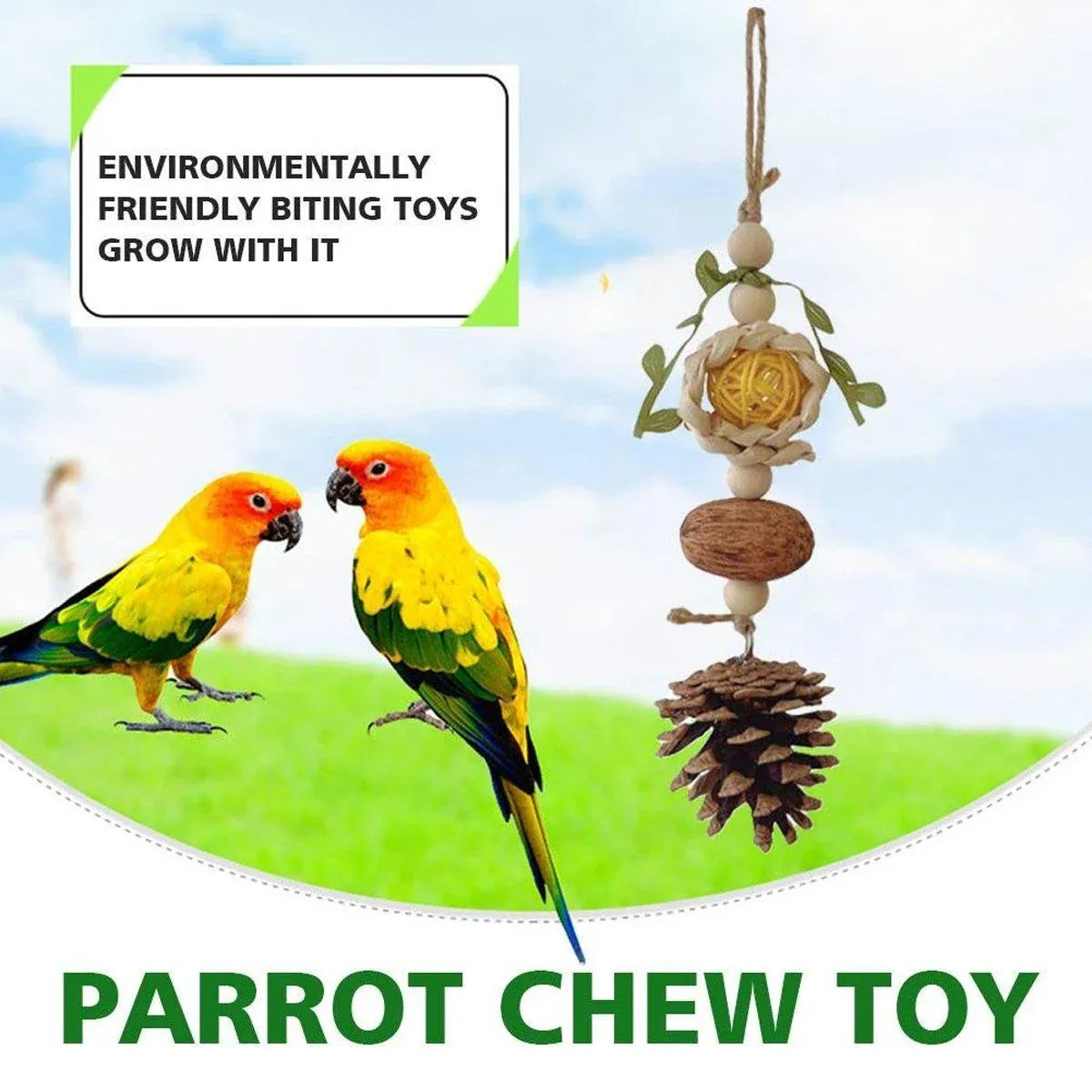 1-Piece Hanging Parrot Chew Toy with Pinecone and Woven Ball
